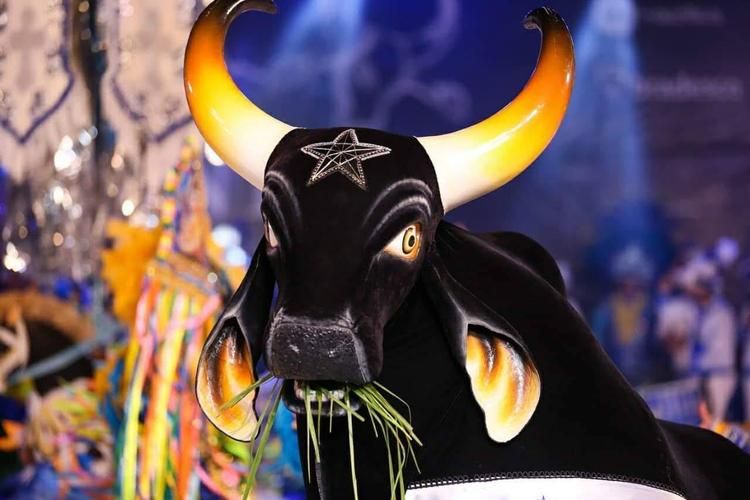 Foto de Boi Caprichoso