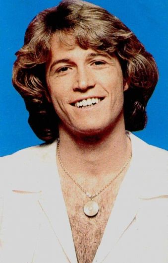 Foto de Andy Gibb