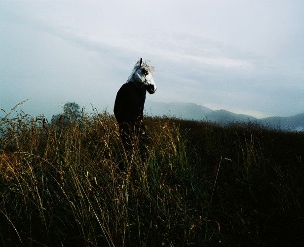 Foto de Sparklehorse