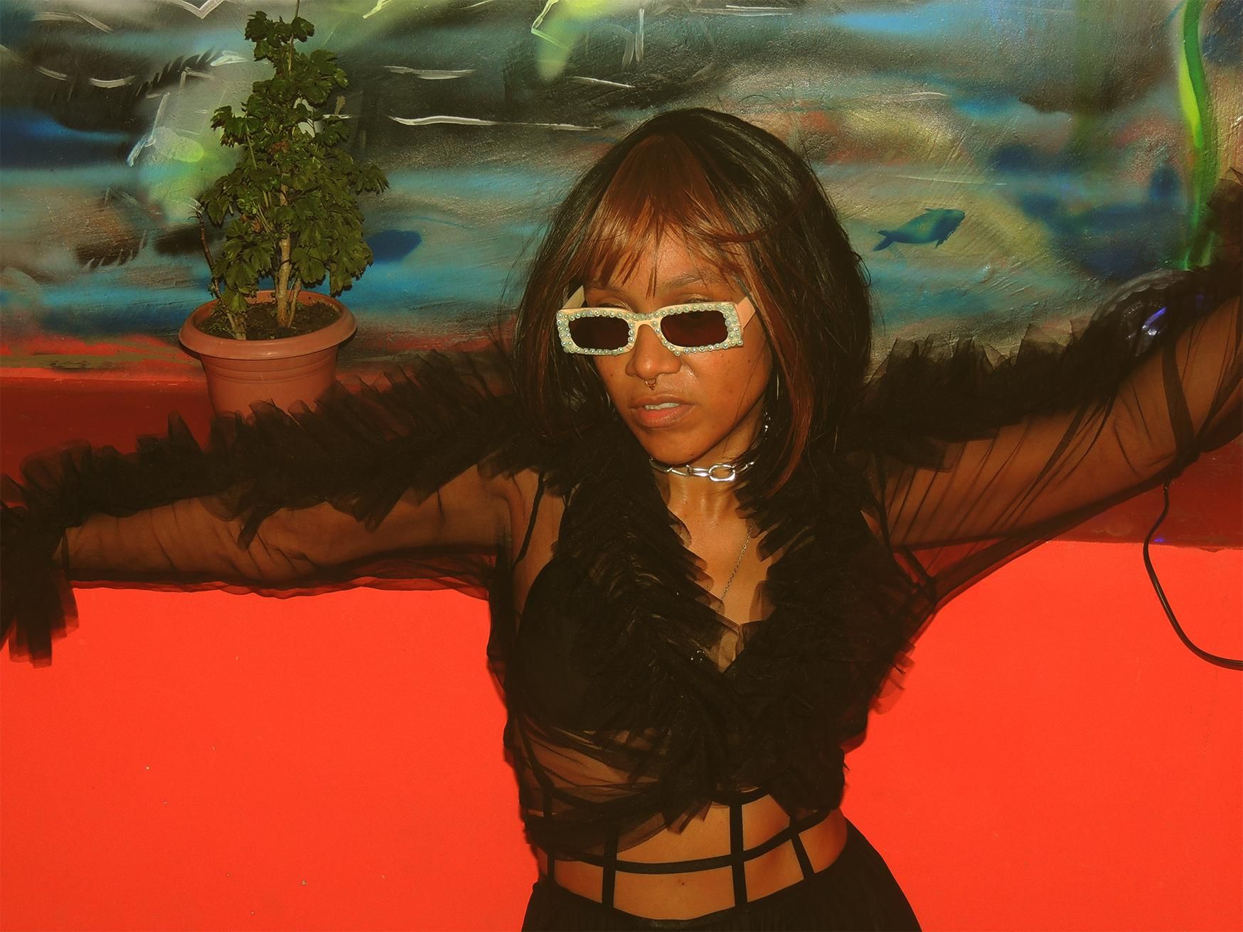 Foto de Vênus Não É Um Planeta