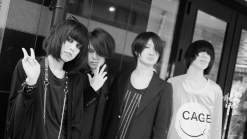 Foto de PLASTICZOOMS