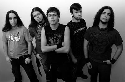 Photo of Ace 4 Trays