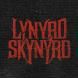 Foto do artista Lynyrd Skynyrd