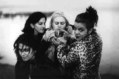 Photo of 7 Year Bitch