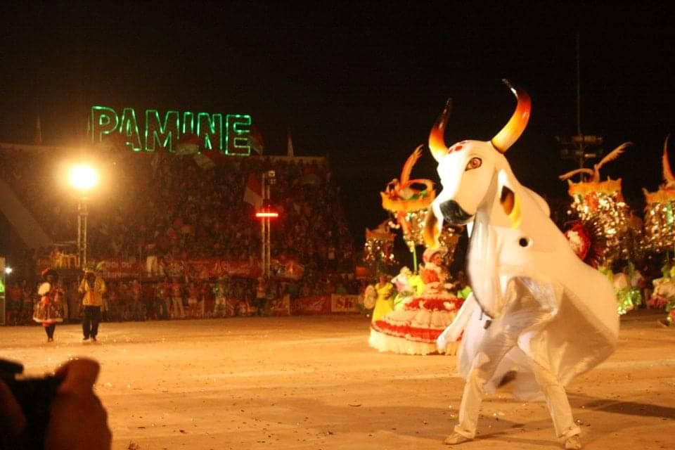 Foto de Boi Flor do Campo