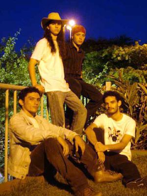 Foto de Several Bulldogs