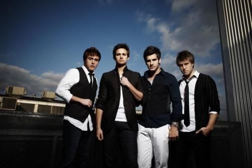 Foto de Yellow Cavalier