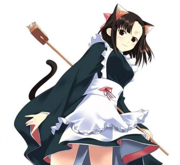 Foto de Mahou Sensei Negima