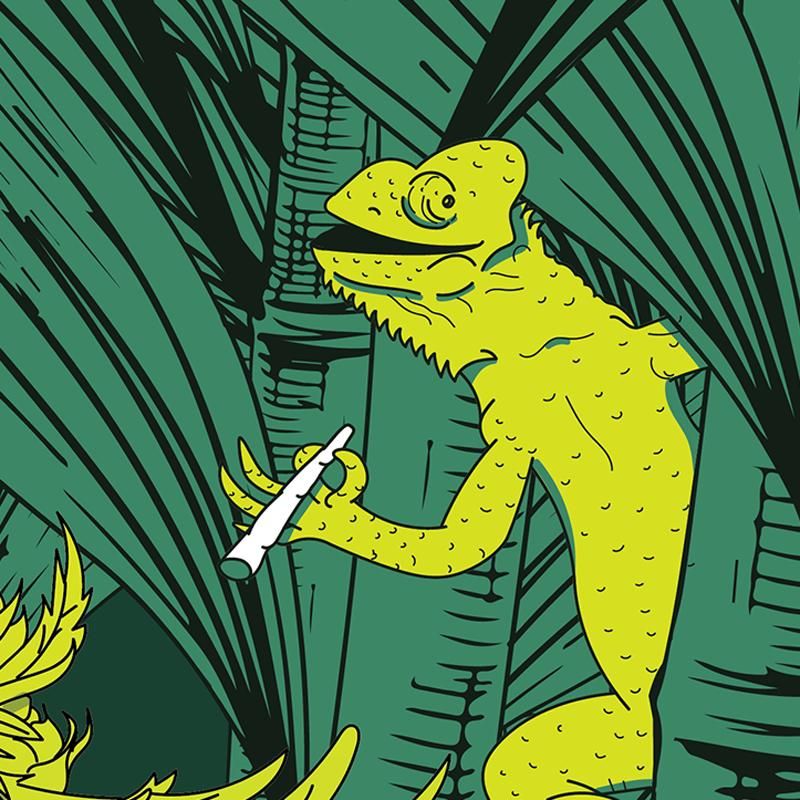 Foto de Largato Banza