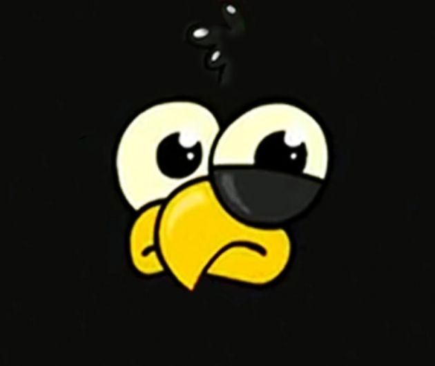 Foto de Galinha Preta Pintadinha