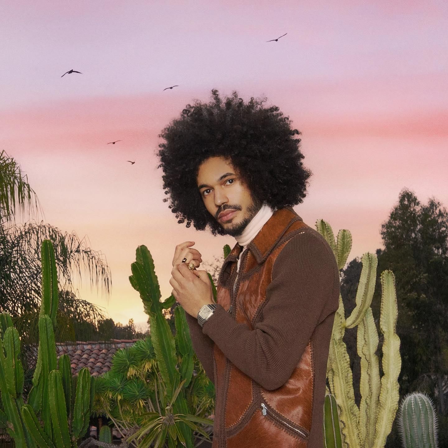 Foto de June Freedom