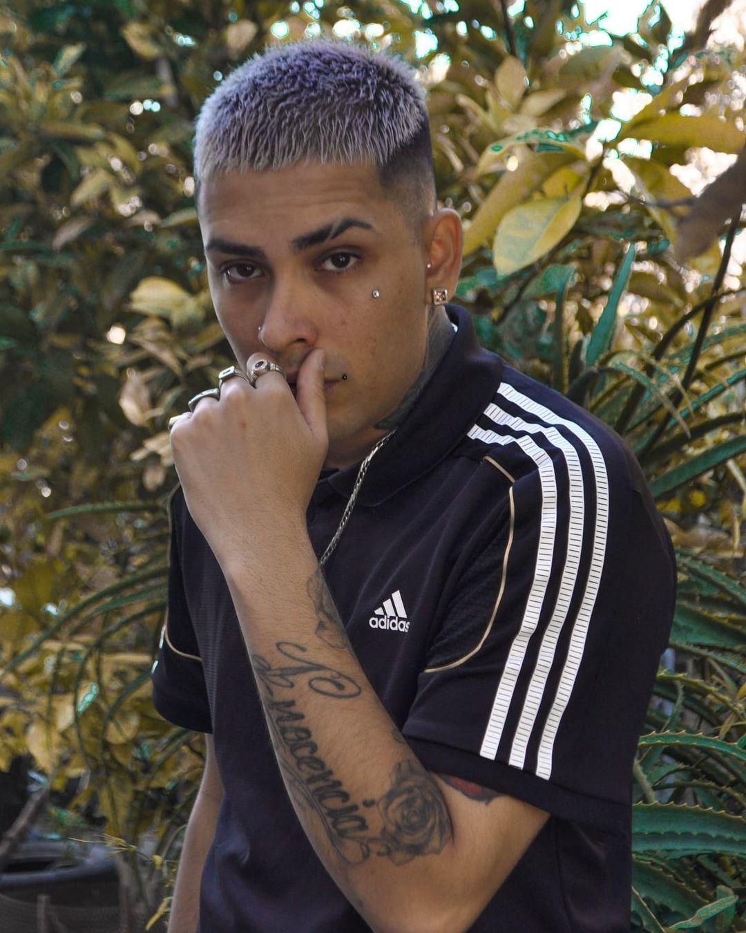 Photo of Callejero Fino