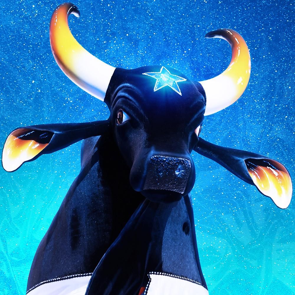 Foto de Boi Caprichoso