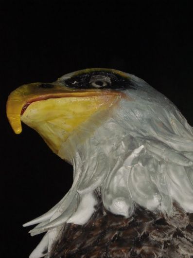 Foto de Acadêmicos de São Francisco