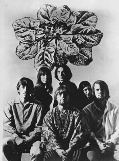 Photo of Ultimate Spinach