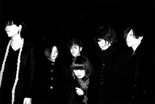 Foto de PLASTICZOOMS