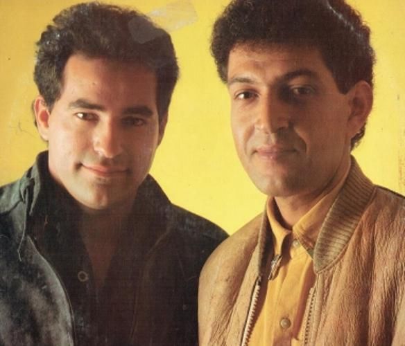 Foto de Lobo e Tigre