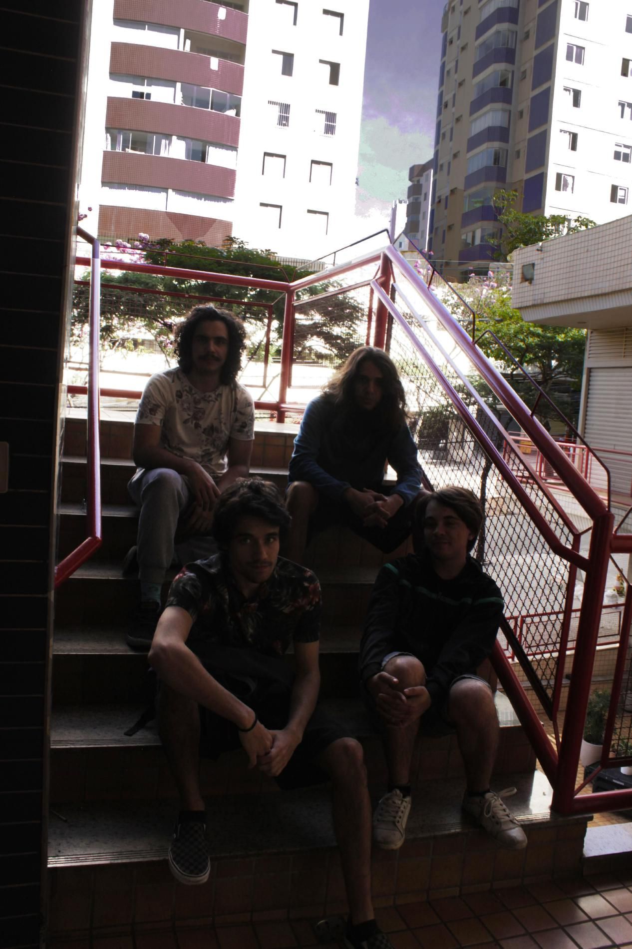 Foto de bala de eucalipto