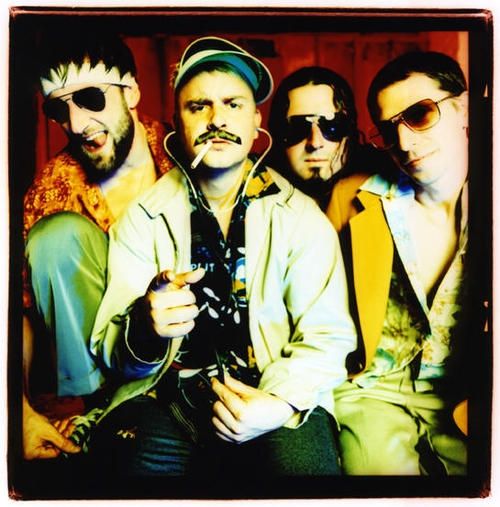 Photo of Dog Fashion Disco