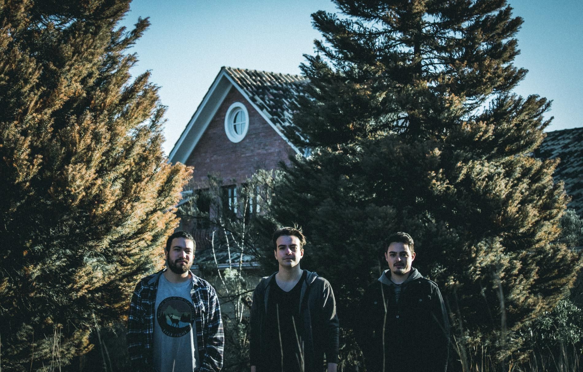 Photo of Behold the Pines