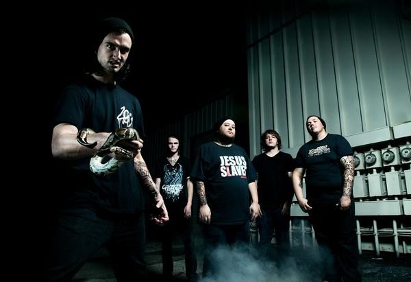 Photo of Molotov Solution