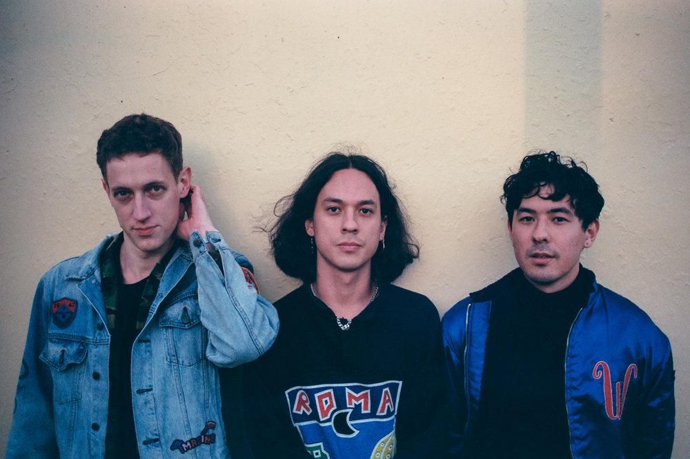 Photo of Last Dinosaurs