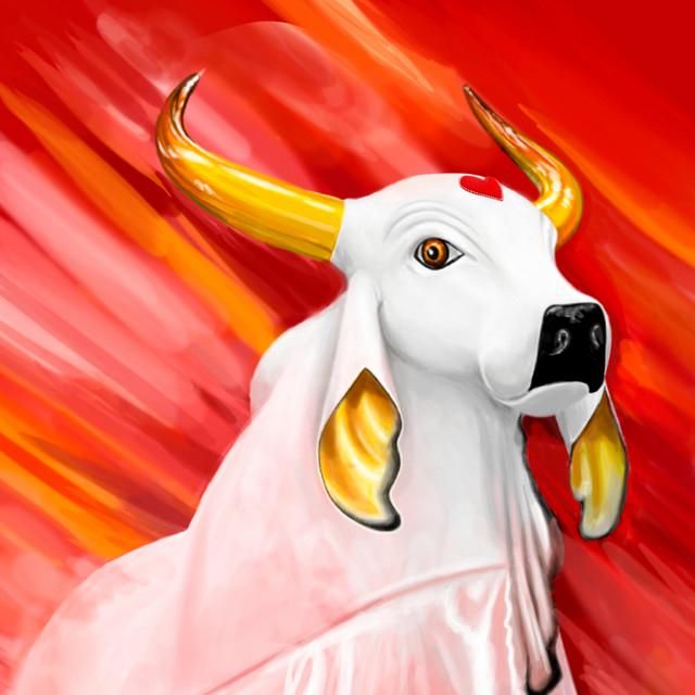 Foto de Boi Garantido