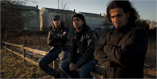 Foto de Acrassicauda