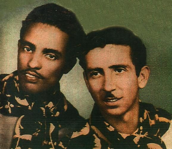 Foto de Tangará e Pavão do Norte