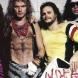 Foto do artista Van Halen