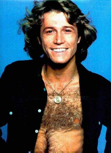 Photo of Andy Gibb