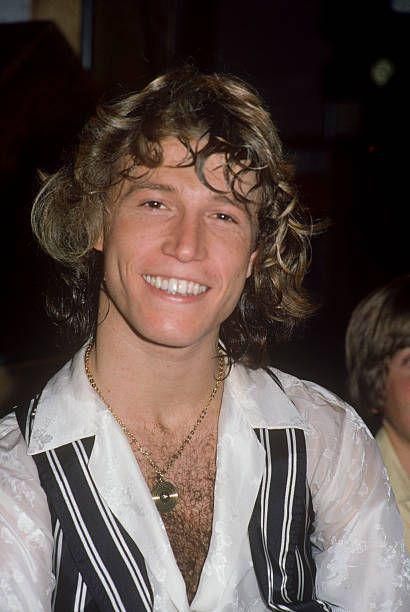 Foto de Andy Gibb