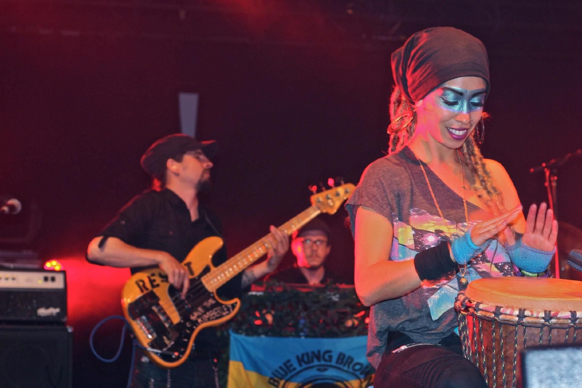 Photo of Blue King Brown