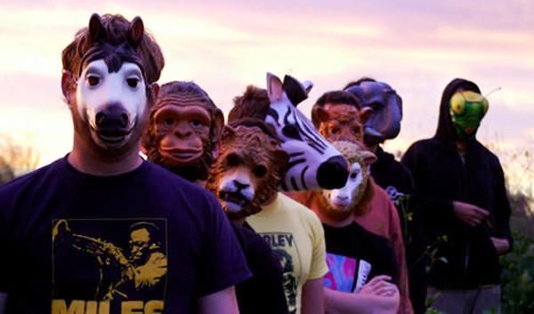 Photo of The Sound Of Animals Fighting