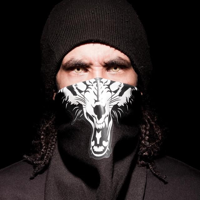 Foto de Cachorro Magro