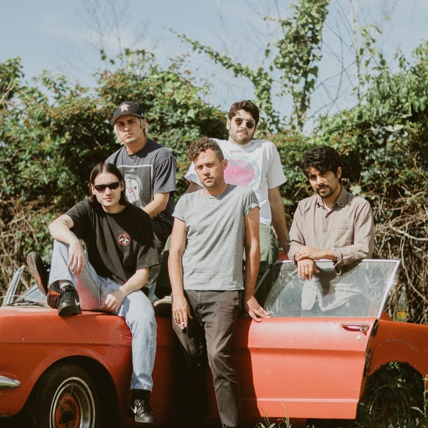 Photo of Narrow Head