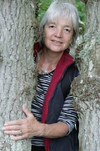 Photo of Gila Antara