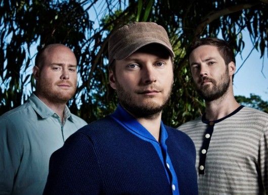 Photo of A Band Of Bees