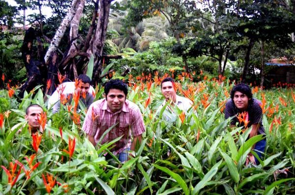 Foto de Paralelo Onze