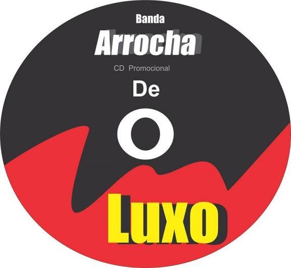 Foto de Banda Arrocha de Luxo