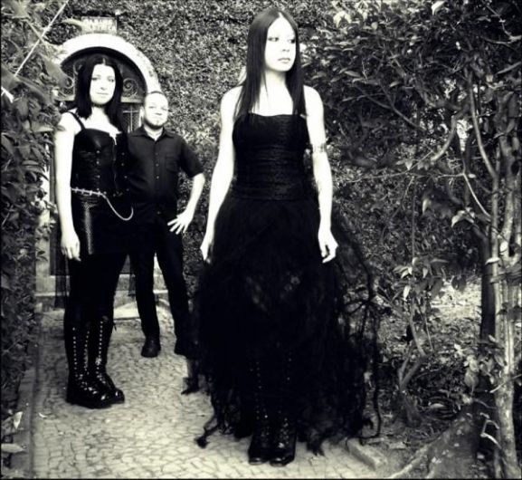 Photo of Scarlet Leaves