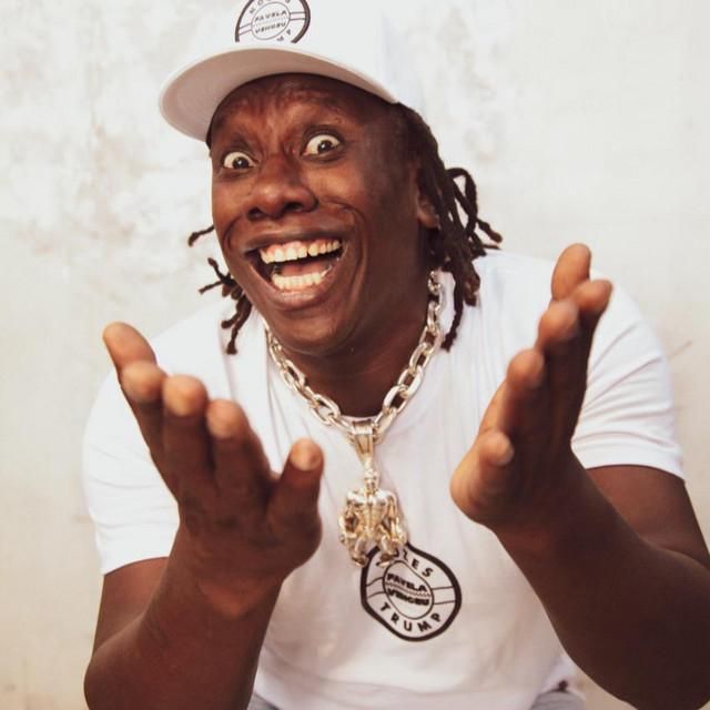 Foto de Gorila e Preto