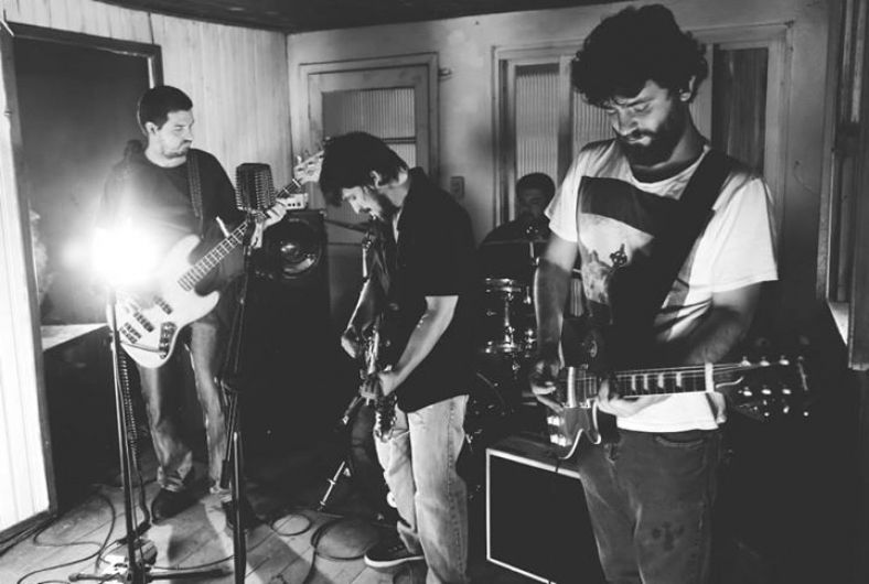 Foto de Claviceps Purpurea