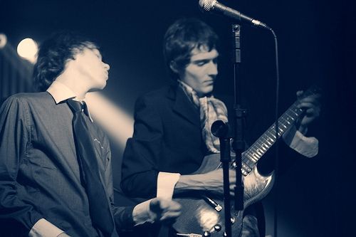 Photo of Marujo Cogumelo