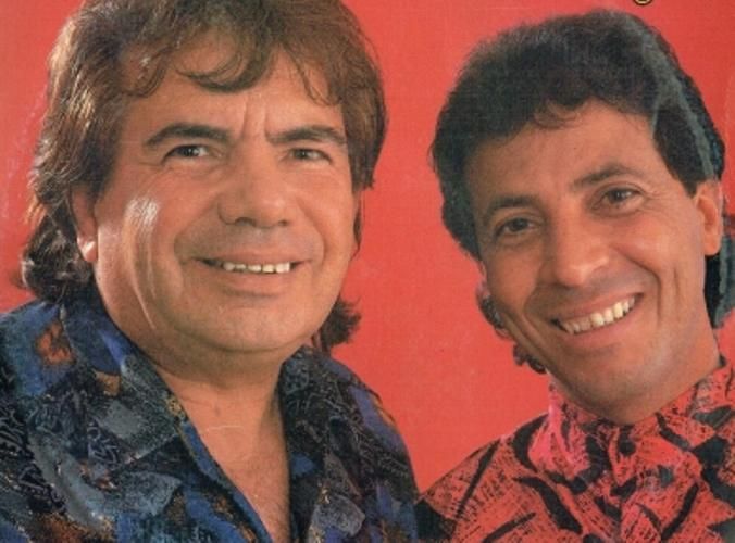 Foto de Palmeira e Biguá