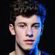 Foto do artista Shawn Mendes