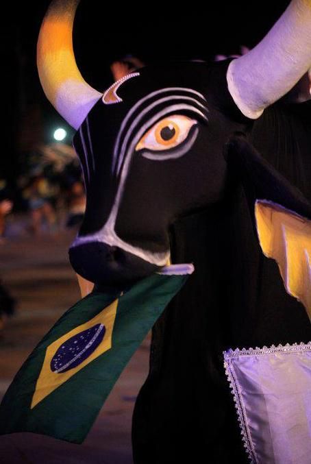 Photo of Boi Malhadinho