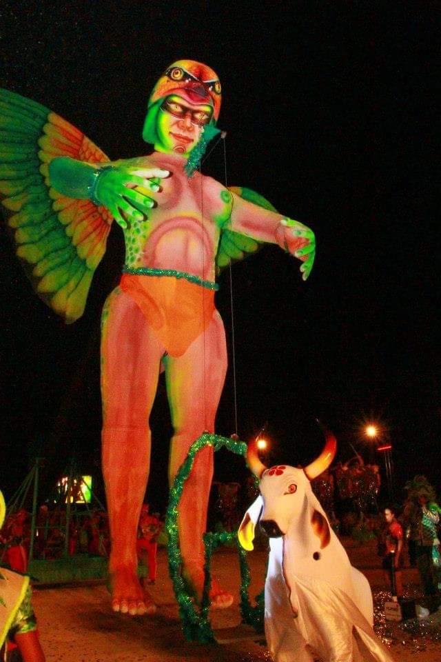 Foto de Boi Flor do Campo