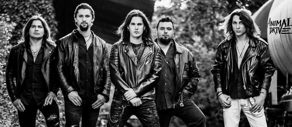 Foto de Animal Drive