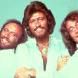 Foto do artista Bee Gees